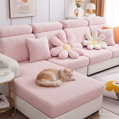 Protection canapé Chat